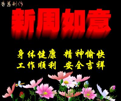 早上好周一快乐问候,早上好喜鹊报喜全家平安