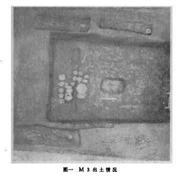 咸阳秦墓发掘全过程,秦墓发掘纪实全集