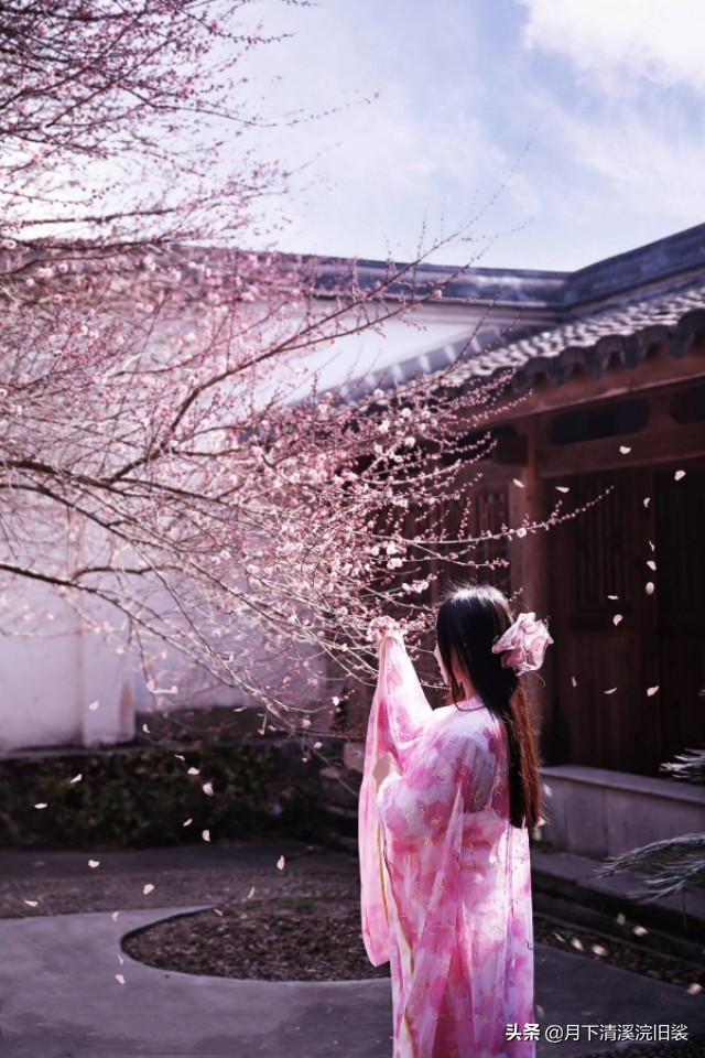 梅开二度,一段鲜为人知的爱情故事「梅花见证纯美的爱情」