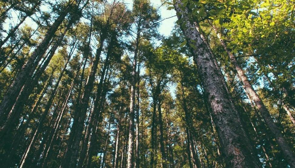 清秋六盘,雅韵唯美,且看宁夏“母亲山”秋色如何养眼怡耳悦心