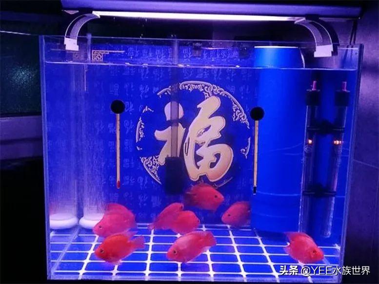 反气举多久能建立硝化系统,反气举可以培养硝化菌吗