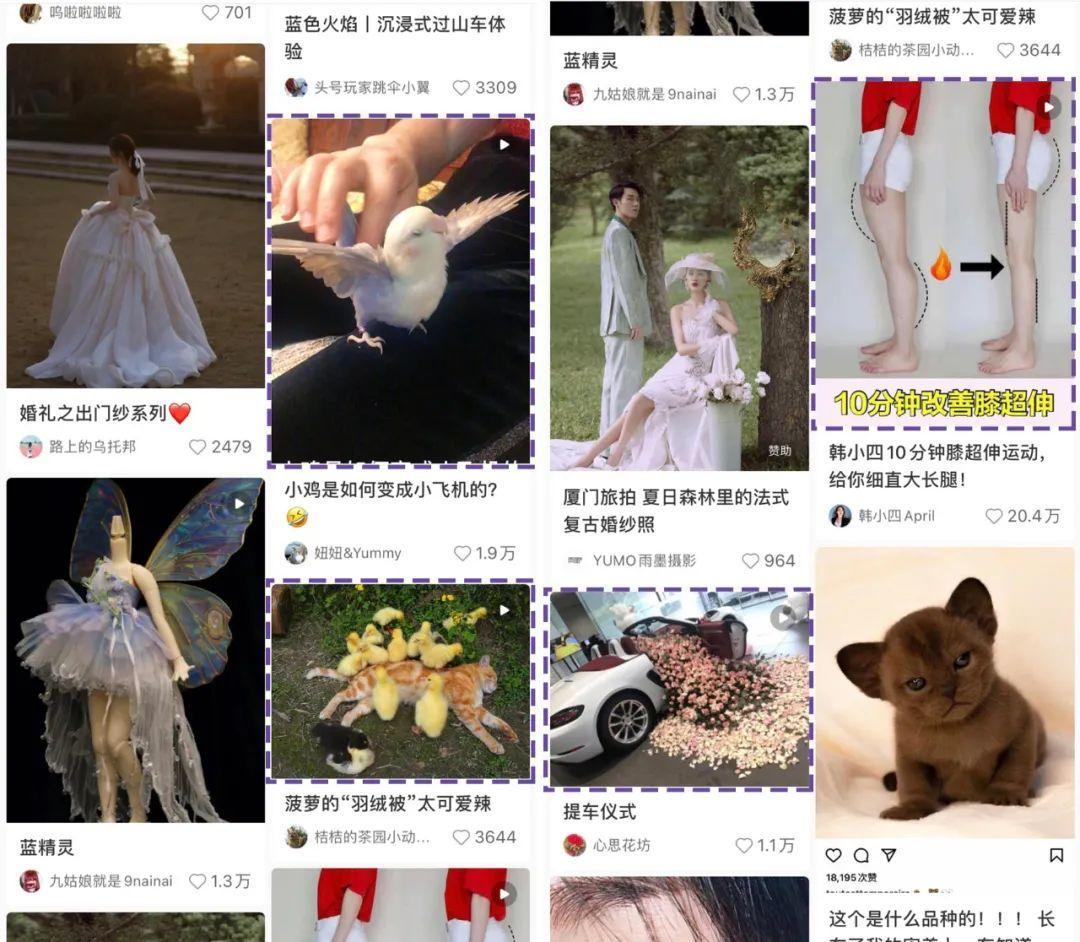 品牌方如何利用小红书的爆款笔记,小红书爆款笔记付费助推