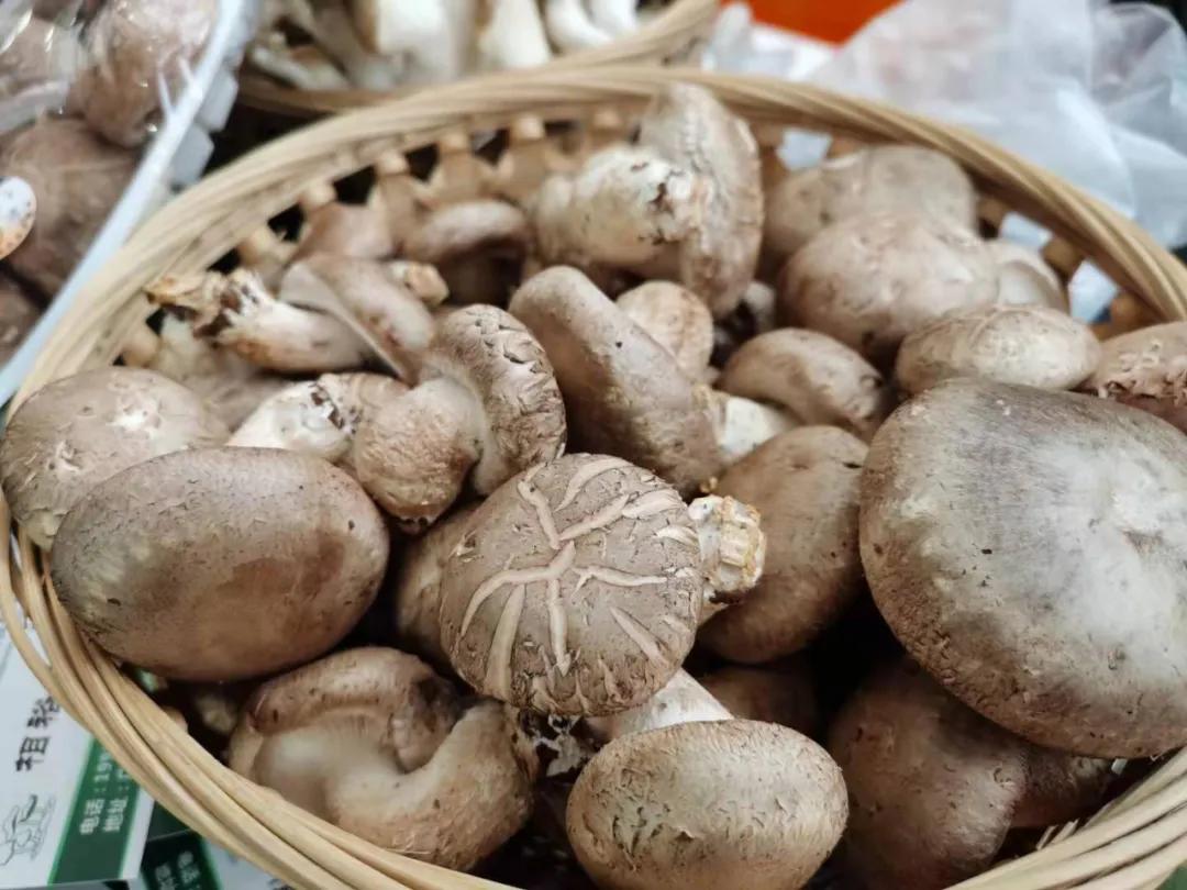 第19届农交会上的这些名特优农产品火了，有你家乡的吗？