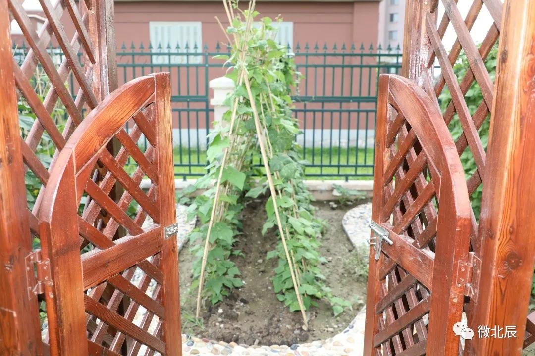 北辰区民办幼儿园,北辰新建18所幼儿园