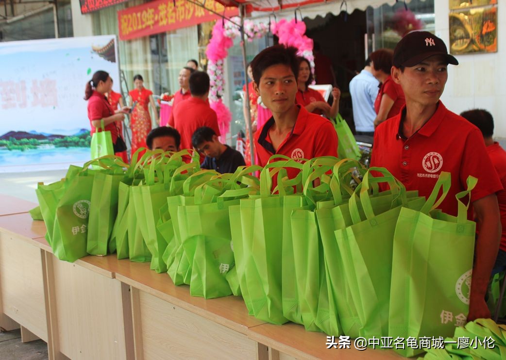 沙琅龟协会,沙琅乌龟协会