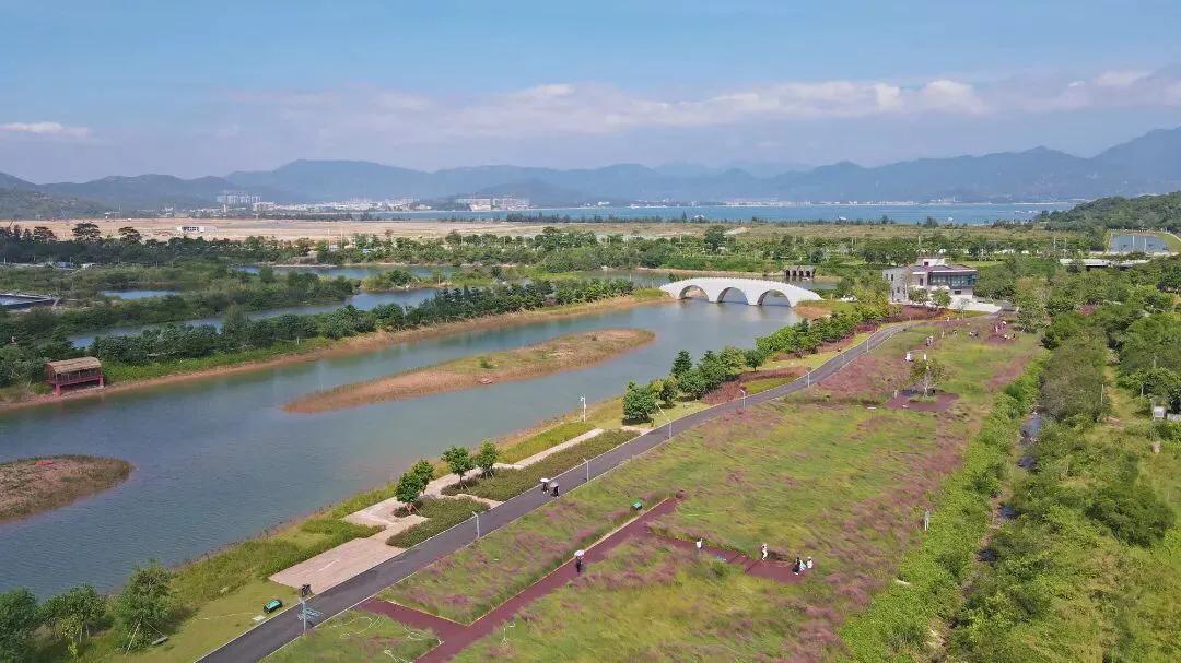 深圳花海公园地址在哪里,深圳中心河公园花海