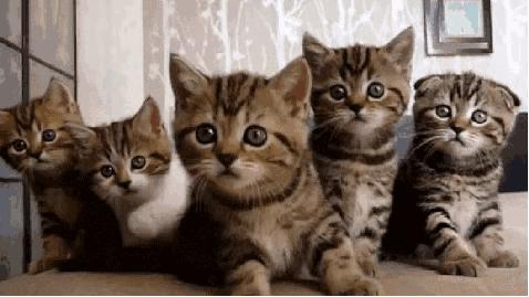 *草烟**微语丨昨夜今晨*草烟**事12.012020