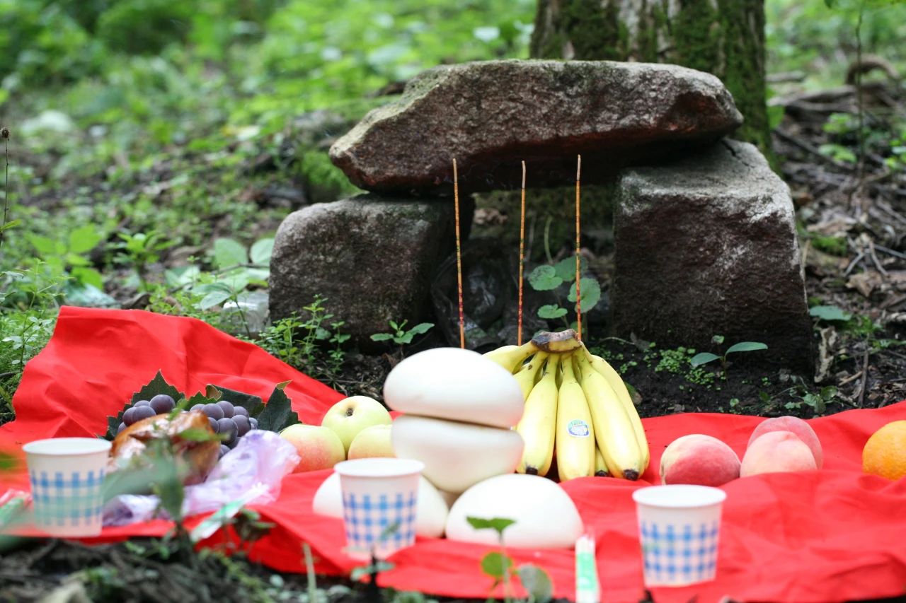 山参文化,野山参非遗