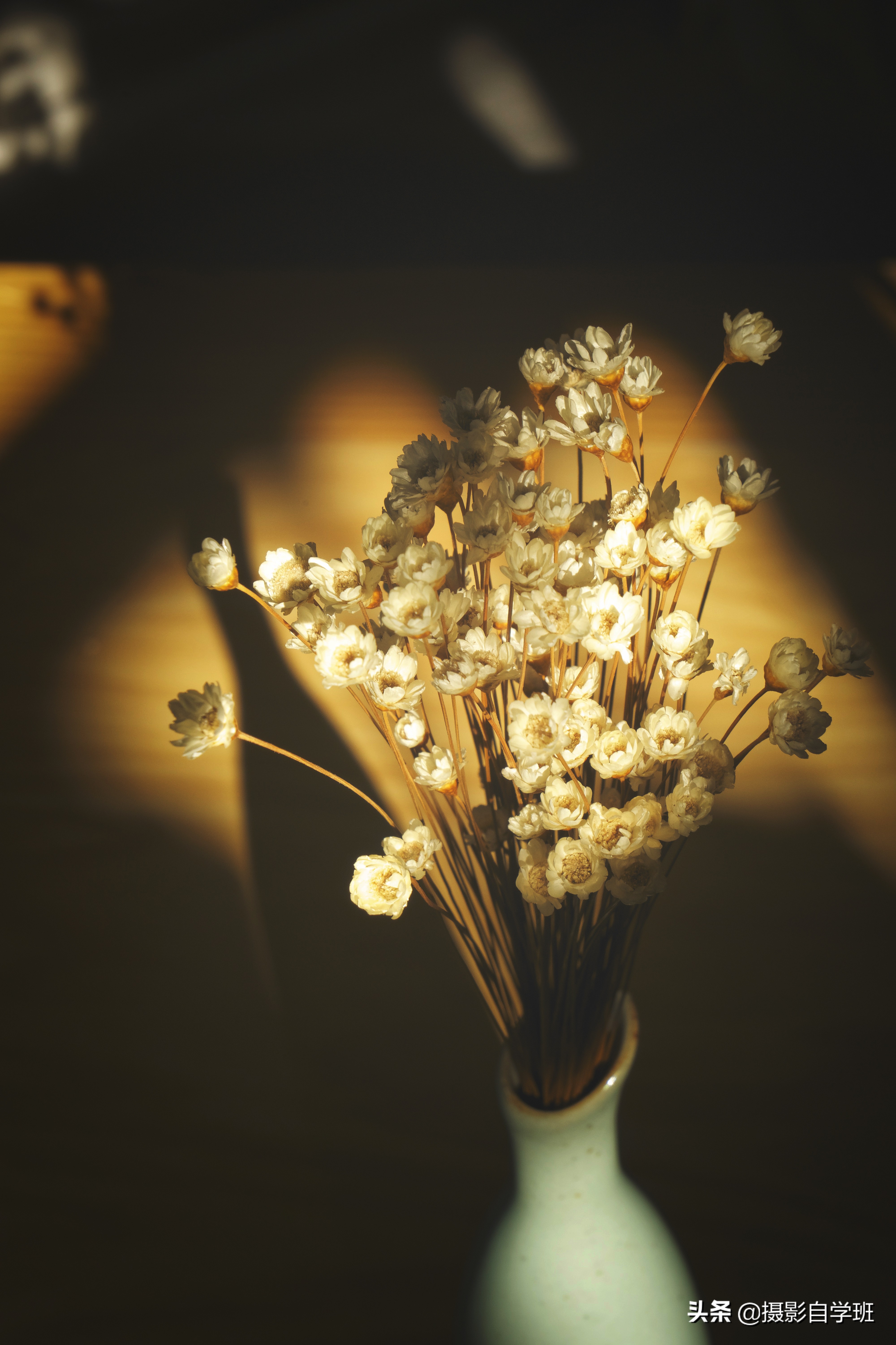 摄影拍出抽象风格照片5个诀窍,照片怎么加虚化