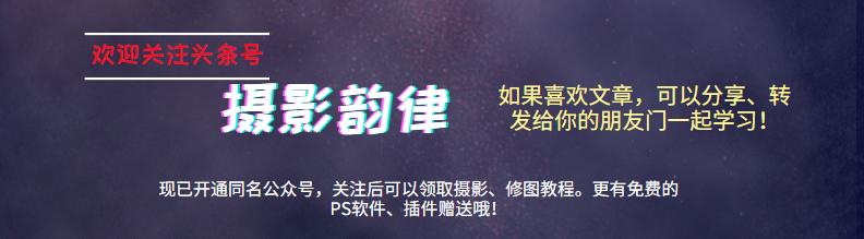 摄影点评完整版,摄影作品点评123例