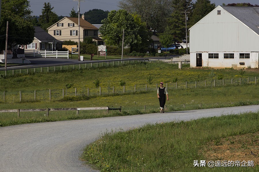 兰卡斯特宾夕法尼亚,兰卡斯特大学lancaster
