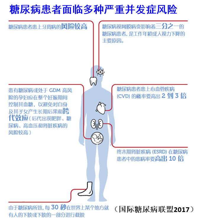 生活在新西兰有多幸福,生活在童话里的国家