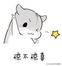 华为手机摄影课程,最全的华为手机摄影教程下载免费