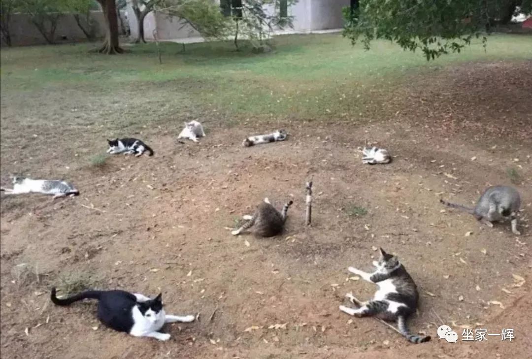 最新防割韭菜套路骗局揭秘,揭秘骗子那些割韭菜套路