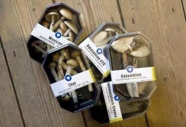 在校生贩卖二类精神类药品,在校女生交友不慎吸贩毒品获刑