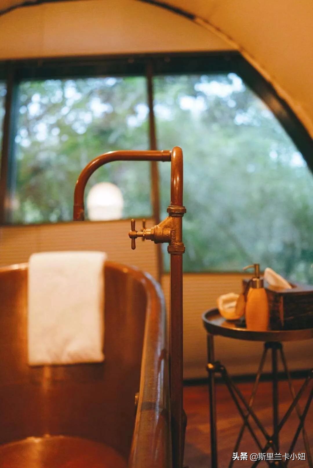 斯里兰卡带孩子游玩,斯里兰卡安缦