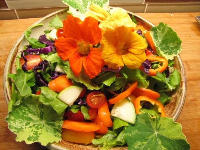 这9种花很常见可赏可吃可饮,秋天可以吃的十种花