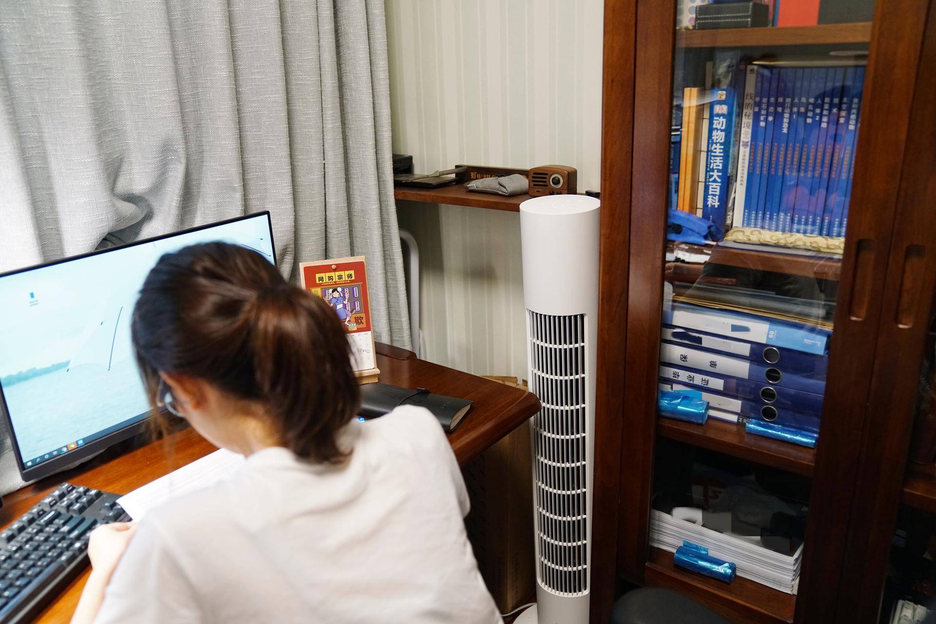 风扇十大公认品牌大全,家用风扇红黑榜