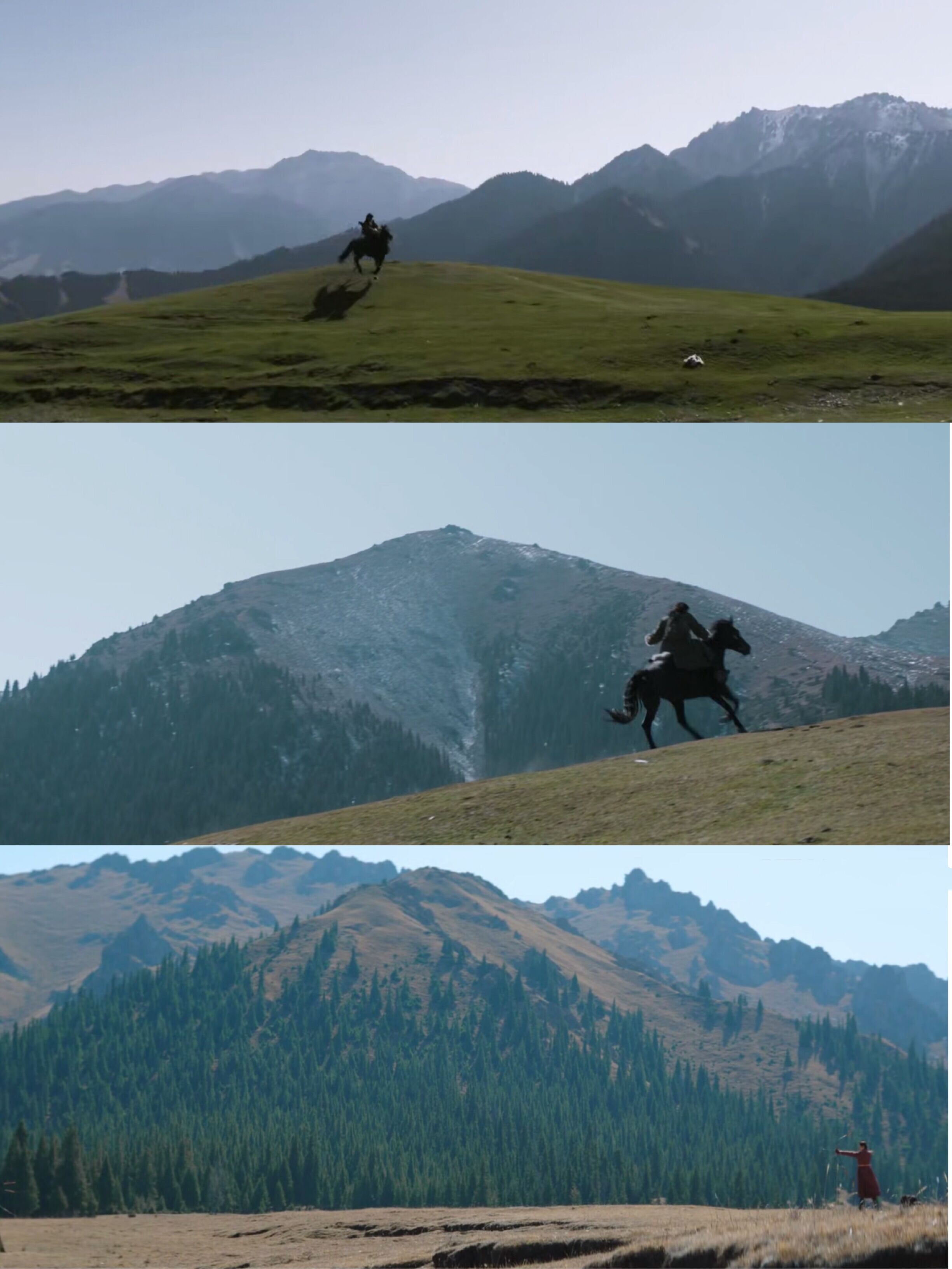 猎狼者的隐藏情节,猎狼者剧情深度解析