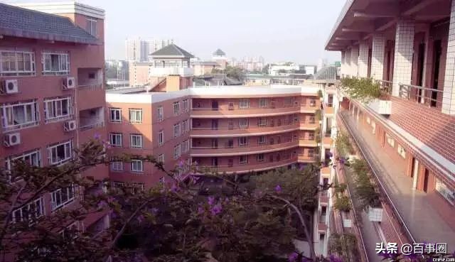 广州芳村,淡看悠然岁月情,认识广州芳村更多