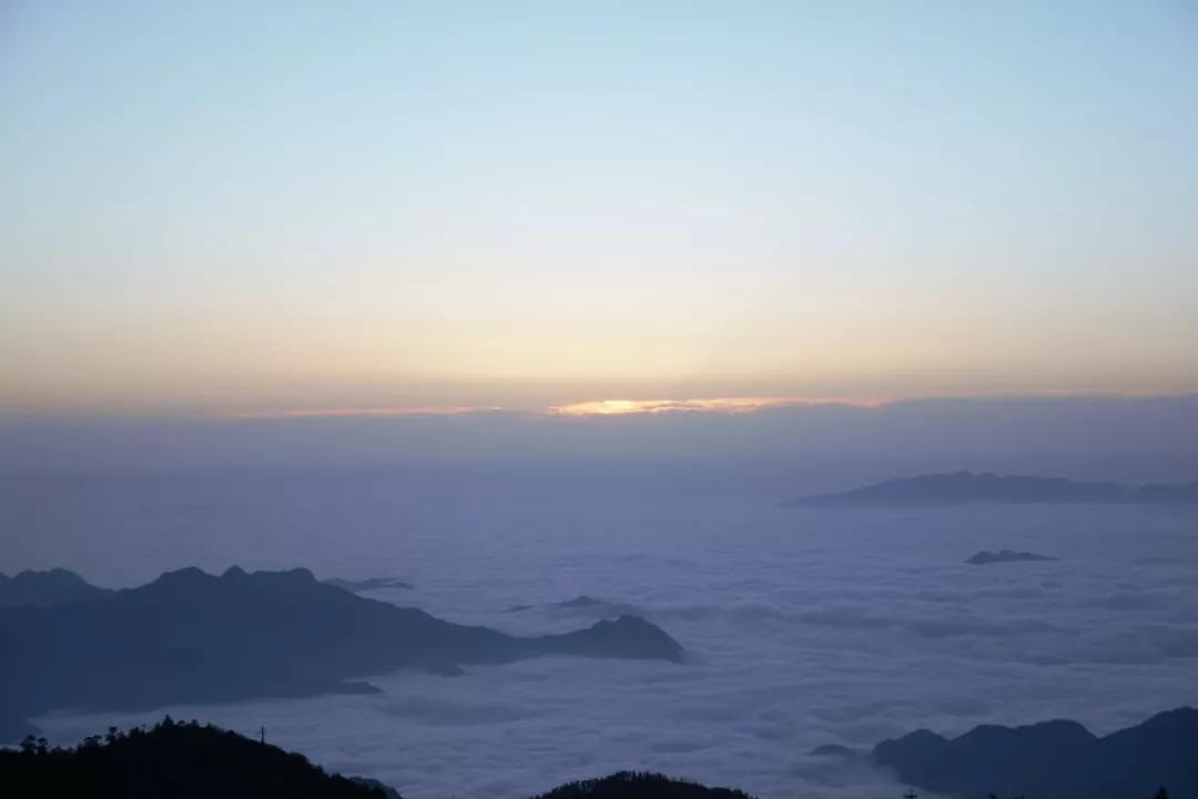法系车雪铁龙世嘉,法系车雪铁龙c4世嘉怎么样