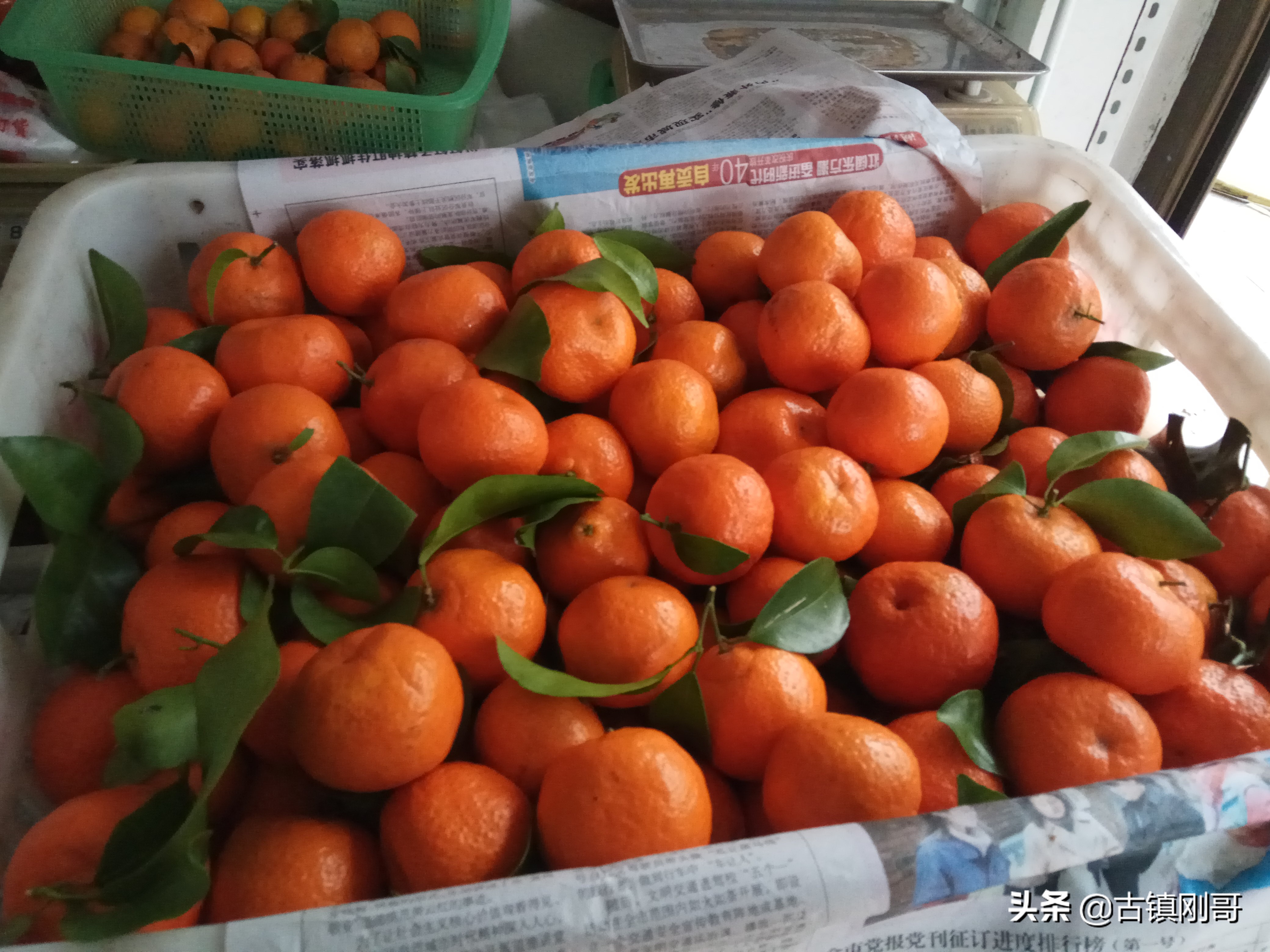 一个农村卖沙糖桔的小伙,农村小伙干销售第一天拿下500