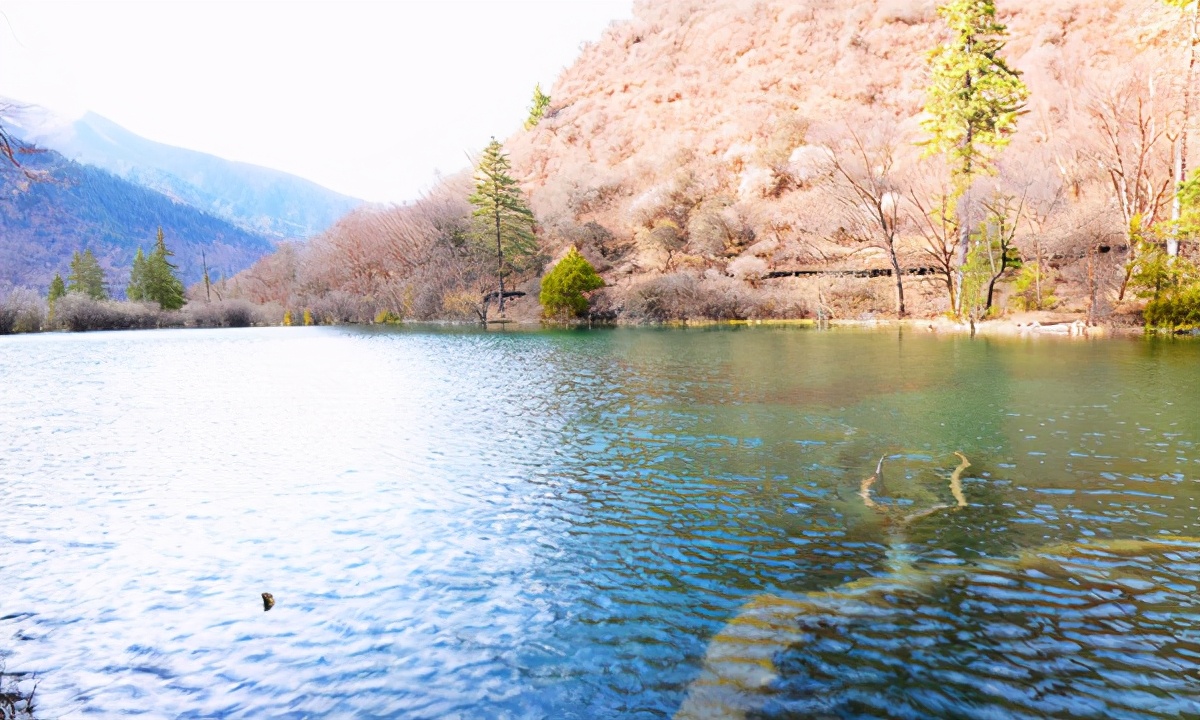 九寨沟最美的一处景点,九寨沟风景区好山好水好风光