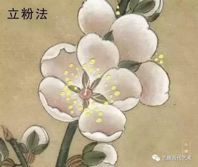 工笔画牡丹花头染色技法步骤,工笔画染色技巧和方法