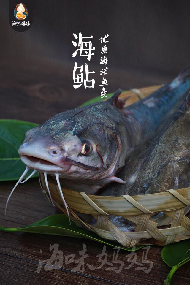 身上有好多刺的海鱼有毒的,背上有毒刺的鱼