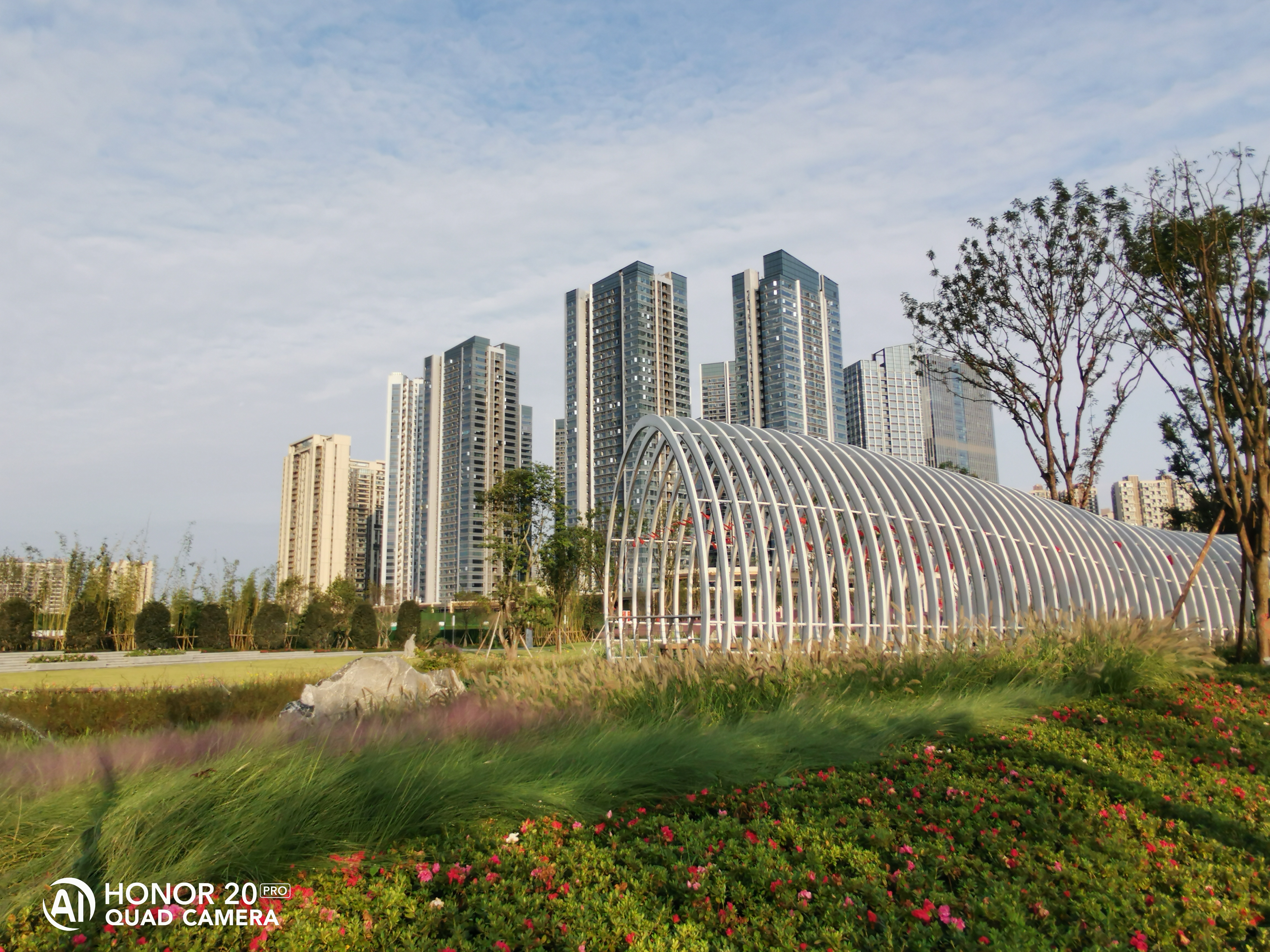 老茶店门店换新颜,茶店子新公园