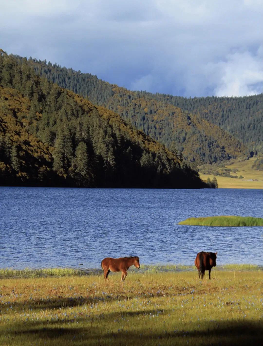 重庆暑假避暑好去处,暑假来了去哪里玩