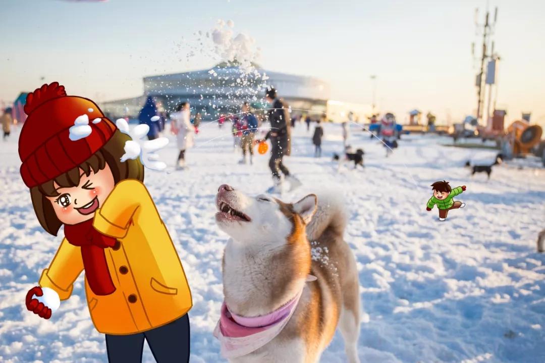 小学生最好的期末复习资料,老师给孩子整理的期末复习知识点