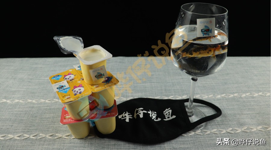 养鱼不死鱼的三个绝招技巧,养鱼不死鱼的三个绝招新手