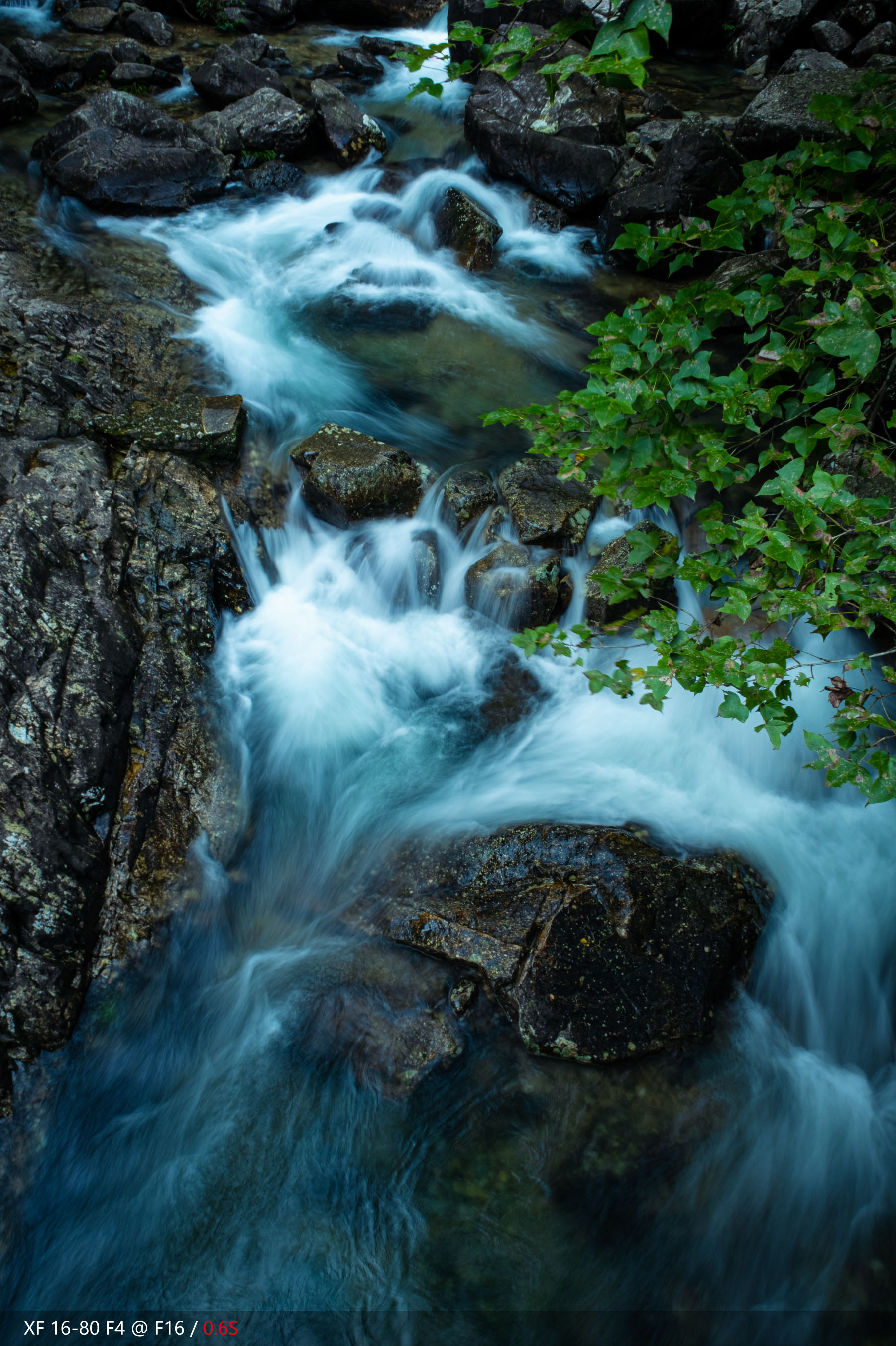 富士xf16-55mmf2.8即将更新,富士xf16-80镜头全天候