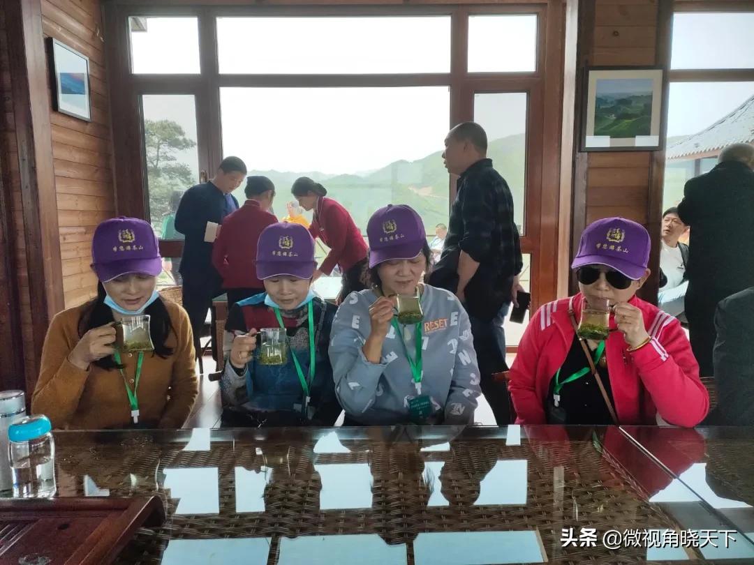 带你看看信阳的茶山美景,信阳浉河茶山直播