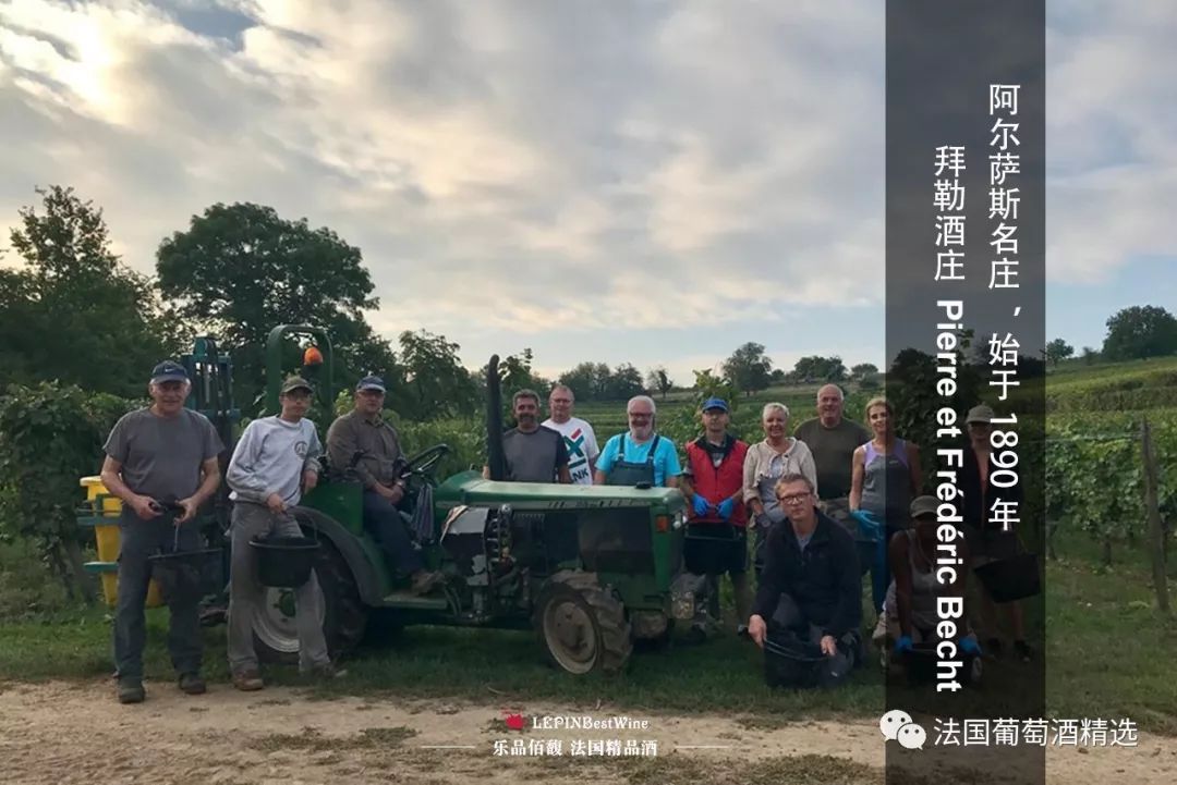 乐品佰馥沂源,乐品佰馥进口