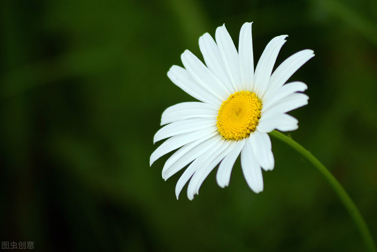 青春虐恋微小说,情爱微小说