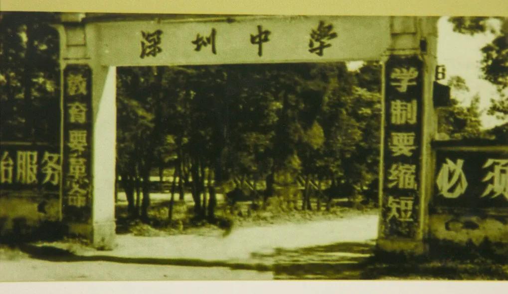 漫游东游西荡,漫游深圳城市