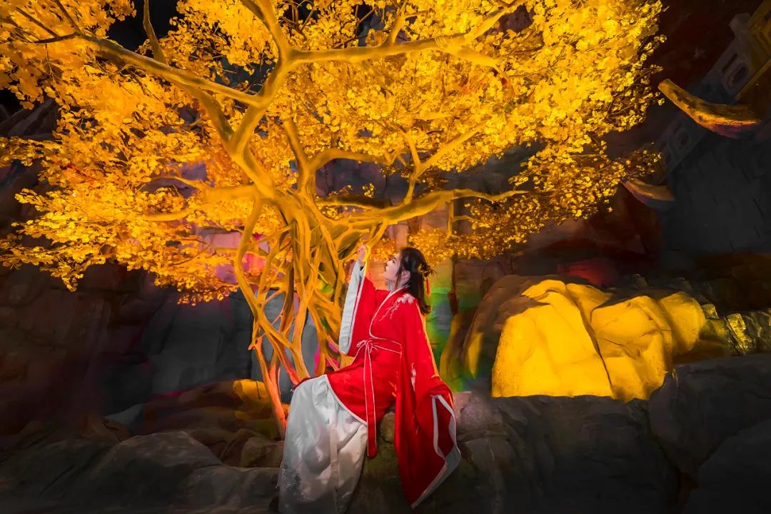 济南一日游必去景点免费攻略,济南宝藏公园