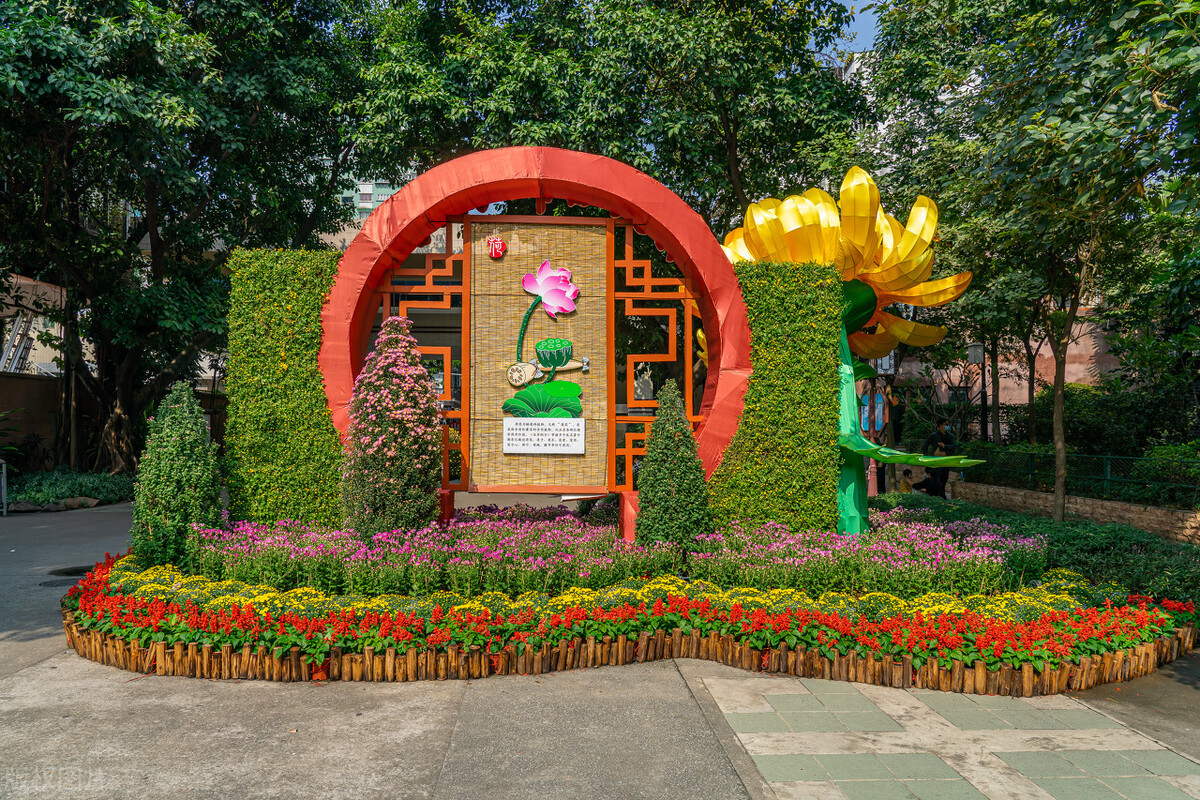 「Hwa叔说广州」桥梁篇：闪耀发展之光的华南大桥