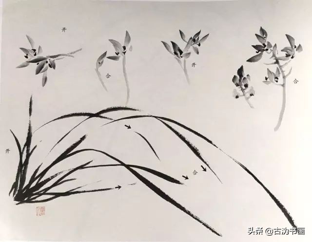 徐湛国画兰花技法教学,国画兰花入门技法