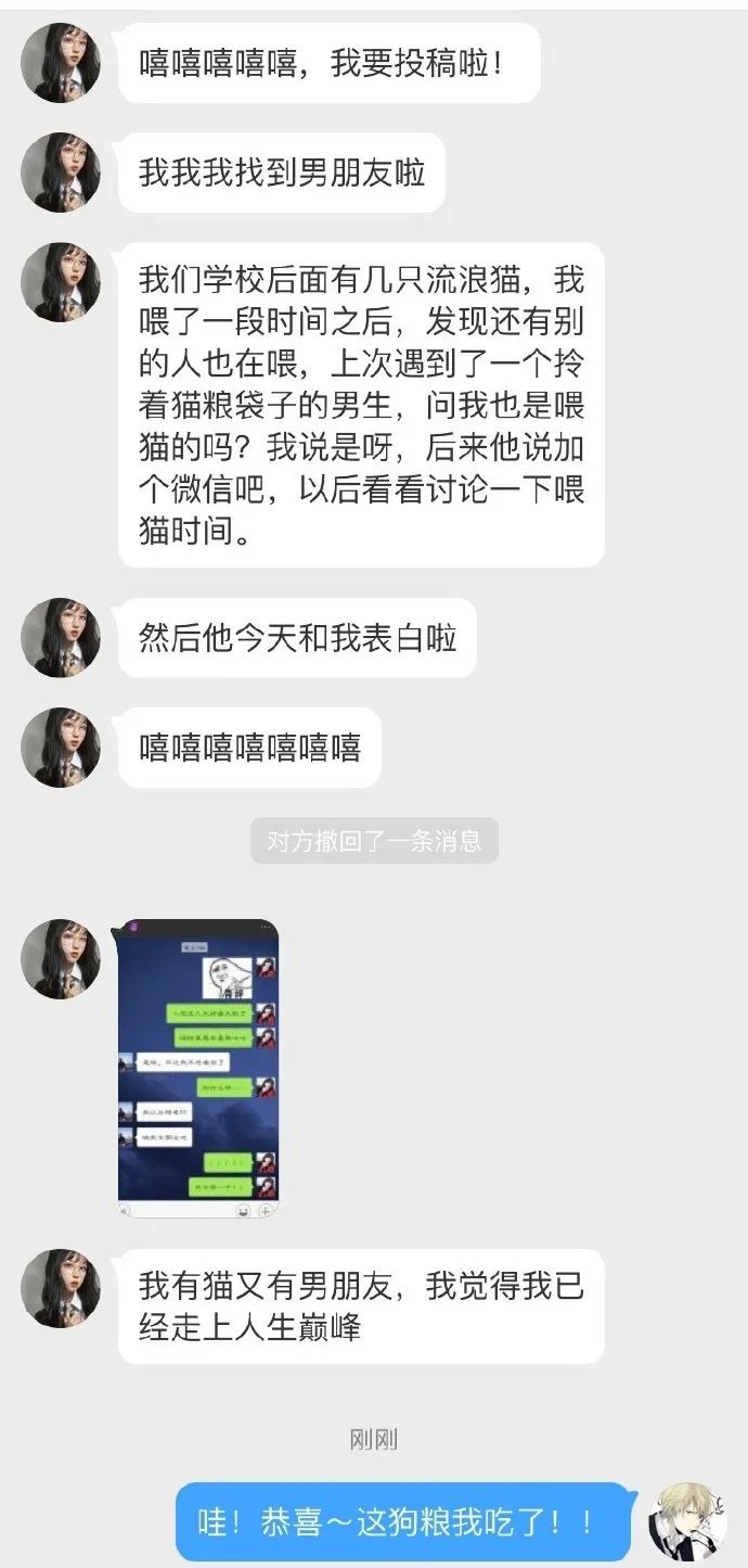 我家猫送亲戚了准备再养一只猫,给我家猫新交了一个嘚瑟的朋友