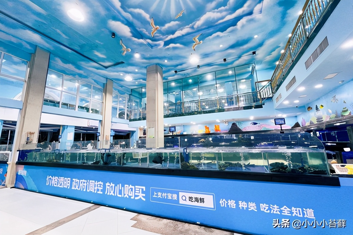 三亚吃住行,三亚自由行海边住宿攻略