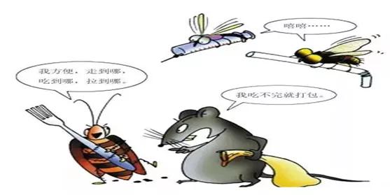 天气热如何灭蚊虫幼虫,夏季怎么消杀去蚊子