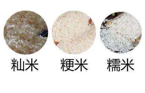 预防胃炎健康宣教,西医怎么治慢性胃炎消化不良