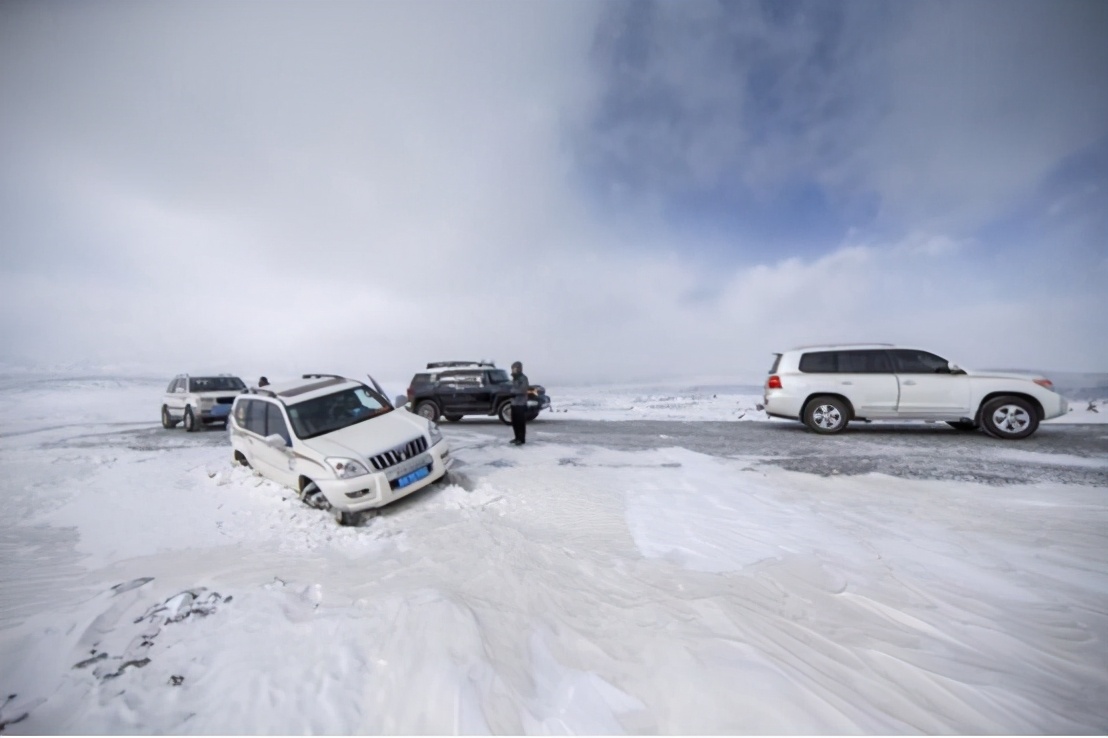净土天峻,净土天峻高原牧场图片