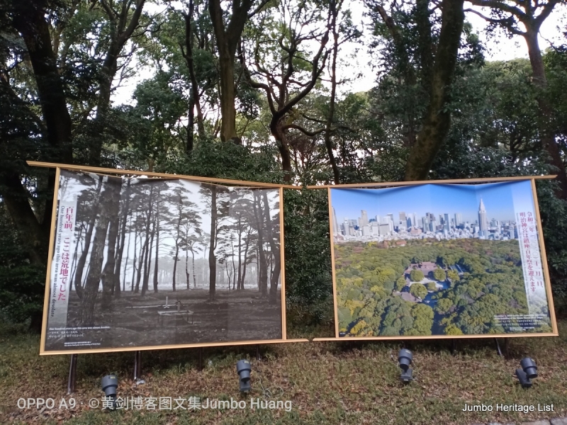 第1011回：世界第一高晴空塔，明治神宫安座百年