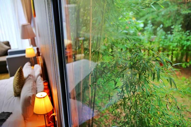 成都民宿推荐青城山,青城山花娟树屋民宿