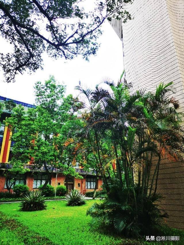 中国最美丽的校园照片,中国最美丽的校园中山大学南校区