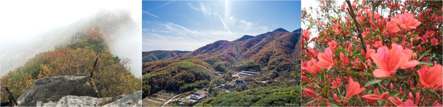 大连近郊自驾景点推荐,大连近郊游玩地方推荐